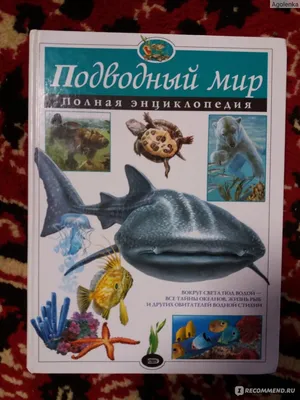 Подводный мир». Изобразительное творчество детей в проекте «У самого синего  моря». Фотоотчет (23 фото). Воспитателям детских садов, школьным учителям и  педагогам - Маам.ру