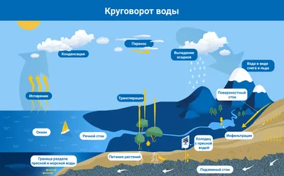 Подземные воды. Просто о сложном – ГЕОСТРОЙПРОЕКТ