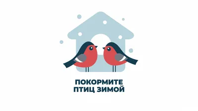 Стартует общероссийская культурно-экологическая акция «Покормите птиц!» |  Русское географическое общество