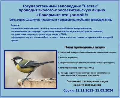 PPT - Проект: «Покормите птиц зимой» PowerPoint Presentation - ID:6155684