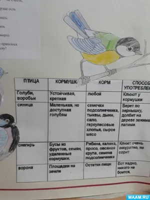 Итоги конкурса «Агитационная листовка» — Объединённая дирекция заповедника  «Саяно-Шушенский» и национального парка «Шушенский бор»