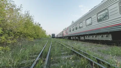 ПОЕЗД СТРИЖ ФОТО: фотографии скоростного поезда Стриж