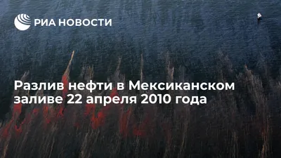 Разлив нефти в Мексиканском заливе  года - РИА Новости,  