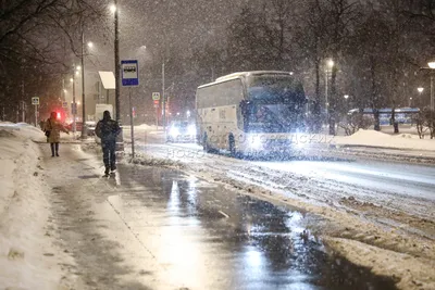 Погода в Москве, наш день сегодня (вчера) | Москвичи | Дзен