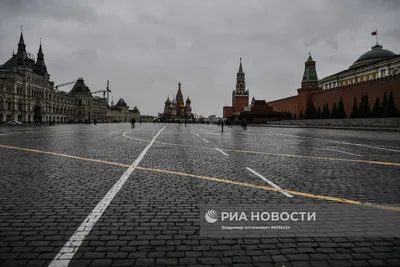 Вильфанд рассказал, какой бывает погода в Москве на Новый год - Российская  газета