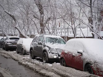 Погода в Москве готовится побить рекорд 50-летней давности - МК