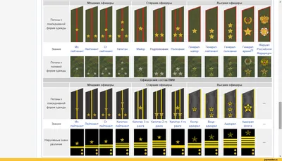 Ликбез по воинским званиям и погонам российской армии