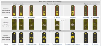 Погоны российской армии картинки