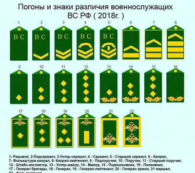 Воинские звания и погоны российской армии. Инфографика | Инфографика |  Вопрос-Ответ | Аргументы и Факты