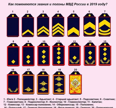 О роли чинопроизводства в поражении Белой армии – тема научной статьи по  истории и археологии читайте бесплатно текст научно-исследовательской  работы в электронной библиотеке КиберЛенинка