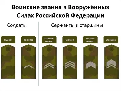 Воинские звания и погоны в армии России по возрастанию | Войсковые Части  России | Дзен