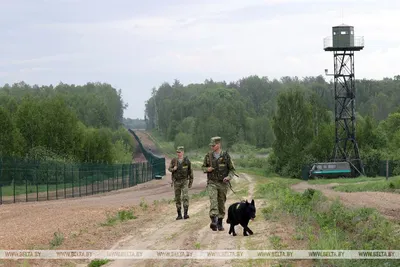 Поставские пограничники охраняют рубежи на белорусско-литовском участке  протяженностью около 90 км — Новости в Поставах