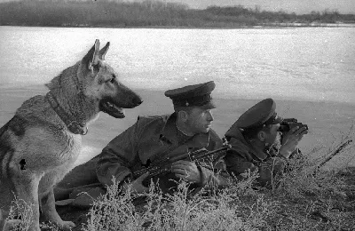 Пограничник с собакой во время обхода | РИА Новости Медиабанк