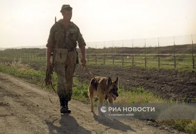 Статуя советского пограничника с собакой в Lysianka, Украине Редакционное  Изображение - изображение насчитывающей взорвать, чистоплемено: 92547045