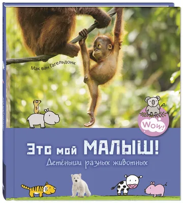 Look at me! Show of wild animals| Bookvoed US