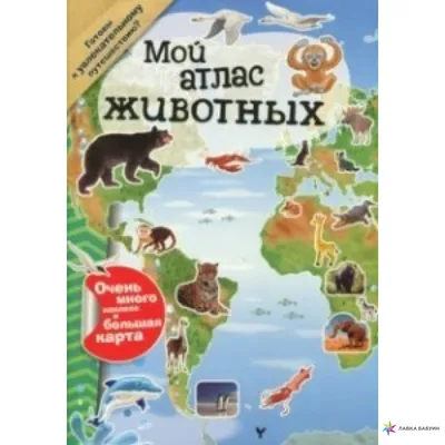 Фигурка Панда "Мой Зоопарк", Развивающие игрушки для детей,Фигурки диких  животных, 8см - купить с доставкой по выгодным ценам в интернет-магазине  OZON (720594193)