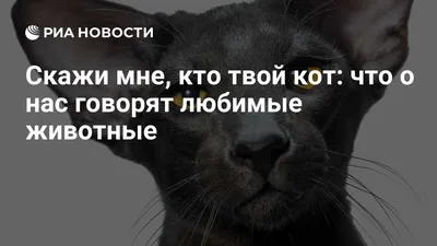 20+ животных, которых забрали из приюта и чья жизнь изменилась в одно  мгновенье благодаря любящей семье / AdMe