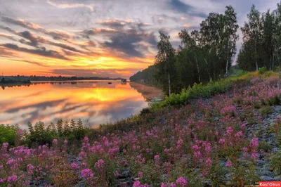 Советы по съемке природы | Фотографии природы | Canva