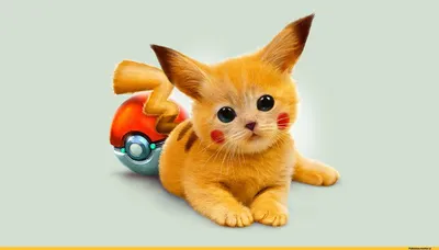 Pikachu (Пикачу) :: Pokeball (Покебол) :: Pokémon (Покемоны) :: Кликабельно  :: фэндомы / картинки, гифки, прикольные комиксы, интересные статьи по теме.