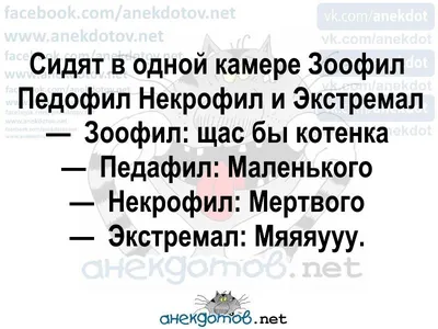 ПОХАБНЫЕ АНЕКДОТЫ. - Страница 96 - Поболтаем? - Форум 