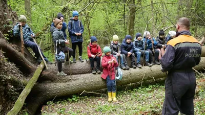 Пеший поход в лес с классом. Поход выходного дня. Школа туризма | ArtemLand  | Дзен