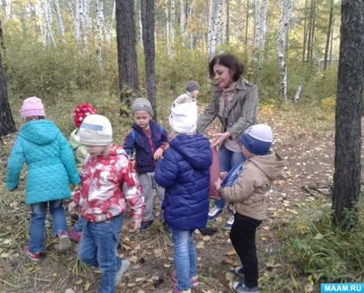 Пеший поход в лес с классом. Поход выходного дня. Школа туризма | ArtemLand  | Дзен