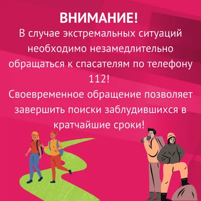 Поход в лес » Осинники, официальный сайт города