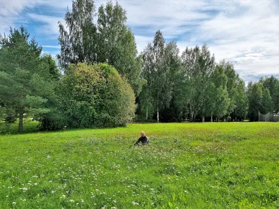 Правильно одеться и беречь природу: о чем нужно помнить, собираясь в поход  / Новости города / Сайт Москвы