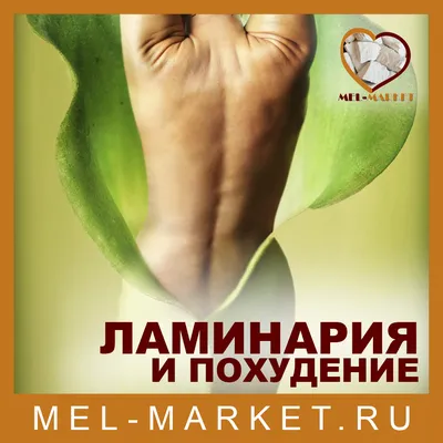 Dieta Eleny Malyshevoy. Kniga-konstruktor: Malysheva Elena Mikhaylovna:  9785170885268: : Books