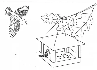 Challenge-km-shop: Задание №127 "Покормите птиц зимой!" - до 