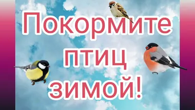 Экологическая акция «Покормите птиц зимой — 2023» — МАДОУ Детский сад № 14  г.Липецка