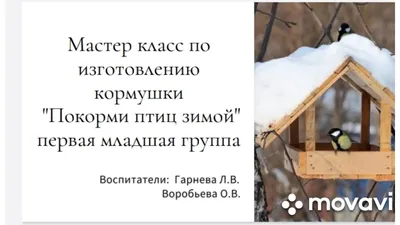 В Низовке прошла акция «Покормите птиц зимой!» — «Земля Самойловская»,  новости Самойловского района