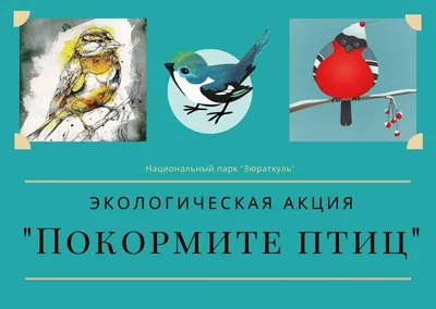 Покормите птиц картинки