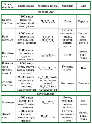 Цветы комнатные: цветущие домашние растения с фото и названиями