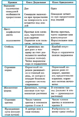 Основные семейства покрытосеменных растений – наглядное пособие –  Корпорация Российский учебник (издательство Дрофа – Вентана)