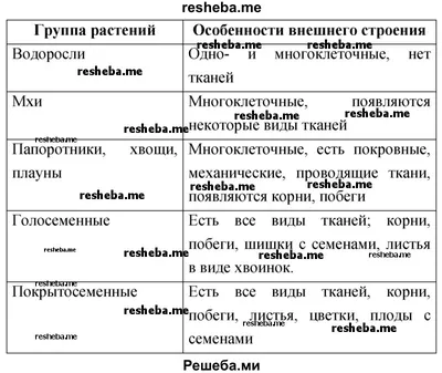 Цветковые растения - презентация онлайн