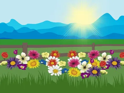 Цветы Поле Цветов Природа - Бесплатное фото на Pixabay - Pixabay