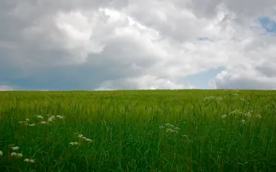 Референсы для осенней фотосессии в поле со стогами (9 фото)