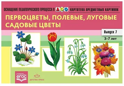 Картинки садовые и полевые цветы для детей с названиями (65 фото) »  Картинки и статусы про окружающий мир вокруг