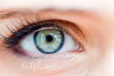 Влияние освещения на зрение. Какое освещение лучше для глаз? — новости  компании «Светлофон»