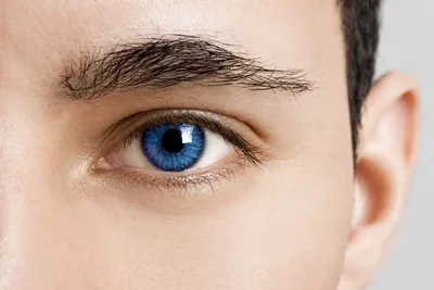 Зоркий глаз: врачи назвали продукты, полезные для зрения.  г.  Кубанские новости