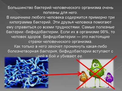 Вредные микробы 2023, Ярославский район — дата и место проведения,  программа мероприятия.