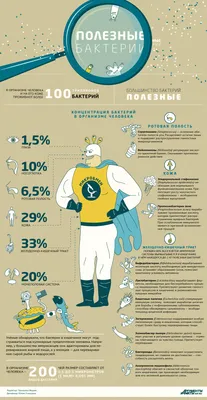 Бактерии под микроскопом, полезные и опасные бактерии -  -  59.ру