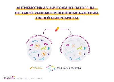 Полезная Здоровая Кишечная Бактерия Микрофлоры — стоковые фотографии и  другие картинки Микрофлора кишечника - Микрофлора кишечника, Кишечник,  Бактерия - iStock