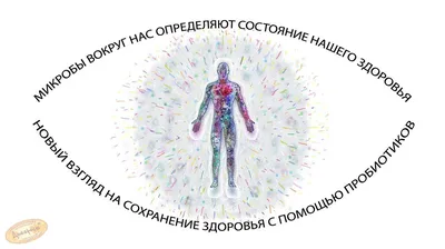 Александр Лыков - ⁉️ Зачем именно нужны пробиотики? ✓ оздоравливают  микрофлору за счет подавления патогенных бактерий в ЖКТ, ✓ защищают  организм от их токсического влияния, ✓ способствуют росту собственных  полезных микроорганизмов, ✓