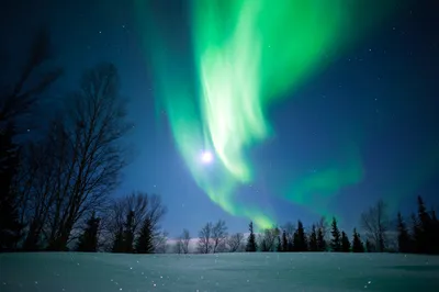 Когда полярная ночь в Териберке / Мурманске: даты 2023-2024