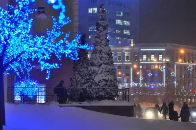 В Финляндии можно увидеть полярную ночь через онлайн-трансляцию