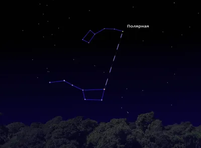 Полярной звезды картинки