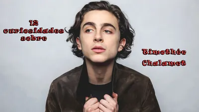 ничего, кроме уважения к этому чудаковатому парню! #kylothée #timothéechalamet #... | Тимотихаламет | ТИК Так