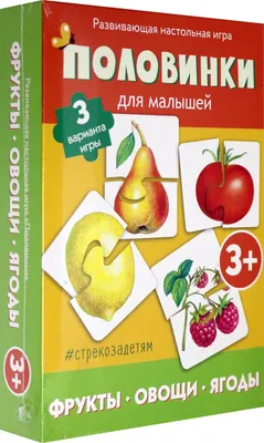 вектор набора яблок. целые половинки и кусочки фруктов на ветке. ручной  чертёж. набросок. Иллюстрация вектора - иллюстрации насчитывающей  конструкция, естественно: 218681051